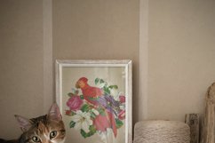 Vintage Cross Stitch Scheme Parrot and lilies Product Image 5