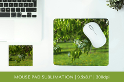 Blooming Pear Blossoms mouse pad sublimation design PNG 001 Product Image 1