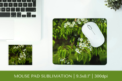 Blooming Apple Blossoms mouse pad sublimation design PNG 001 Product Image 1
