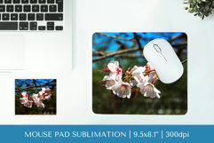 Cherry Blossom in bloom mouse pad sublimation design PNG 011 Product Image 1