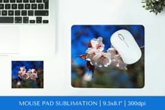 Cherry Blossom in bloom mouse pad sublimation design PNG 016 Product Image 1