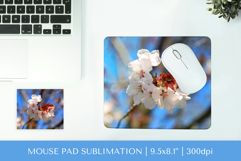 Blooming Cherry Blossom mouse pad sublimation design PNG 017 Product Image 1