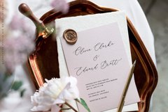 PeachCreme Petite Kit// SALE Product Image 19