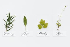 PeachCreme Petite Kit// SALE Product Image 21