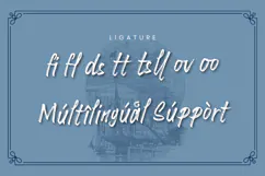 Pictton Port Vintage Handbrush Font | Web Product Image 10