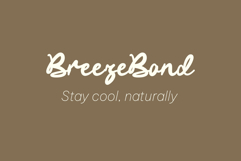 Pillow Script A Modern Font Family Product Image 5