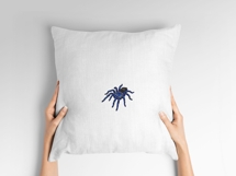 Electric Blue Earth Tiger Tarantula Product Image 8