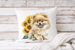 Pomeranian puppy sunflower sublimation png, watercolor dog Product Image 3