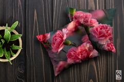 Pink Carnation Flowers Digital Papers Product Image 3