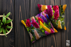 Colorful Celosia Flowers Digital Papers Product Image 3