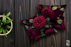 Burgundy Dahlia Flowers Digital Papers Product Image 3