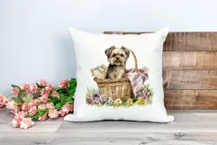 Spring Morkie Dog Breed Watercolor Clipart PNG Sublimation Product Image 2