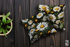 Chamomile Flowers Seamless Patterns, Floral Digital Papers Product Image 3