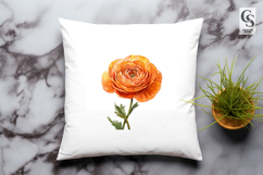 Orange Ranunculus Flower Clipart Sublimation PNG Product Image 2