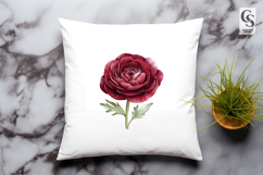 Burgundy Ranunculus Flower Clipart PNG Product Image 2
