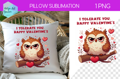 Sarcastic Animal Sublimation, Pillow Valentine's Day Product Image 1