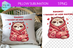 Sarcastic Animal Sublimation, Pillow Valentine's Day Product Image 1