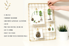 Pine Tree Life Cycle Set Product Image 2