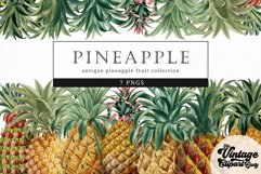 Pineapple Vintage Fruit Botanical Clip Art Product Image 1