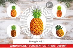 Wind Spinner Pineapple Product Image 1