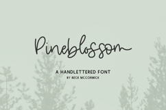 Pinesblossom Script Product Image 1