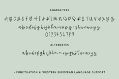 Pinesblossom Script Product Image 10