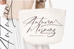 Pinflow Armfrof - Stylish Signature Font Product Image 5