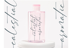 Pinflow Armfrof - Stylish Signature Font Product Image 13