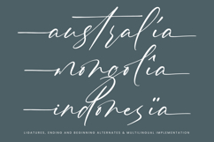 Pinflow Armfrof - Stylish Signature Font Product Image 14