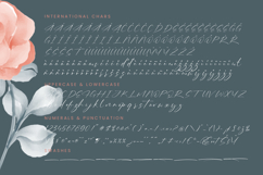 Pinflow Armfrof - Stylish Signature Font Product Image 18