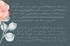 Pinflow Armfrof - Stylish Signature Font Product Image 19