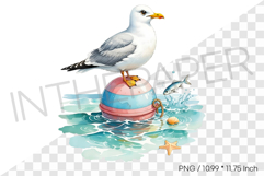 Seagull Sitting on Ocean Buoy PNG Summer Clipart Watercolor Product Image 1