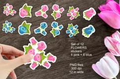 Pink and Blue Flower Stickers PNG files Set of 12