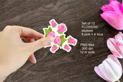 Pink and Blue Flower Stickers PNG files Set of 12