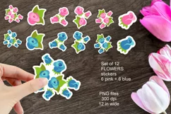 Pink and Blue Flower Stickers PNG files Set of 12