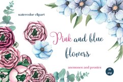 Watercolor Pink Peonies and blue anemones Flowers Clipart Product Image 1