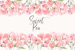 Sweet Pea Floral - Watercolor Floral Clipart Product Image 1
