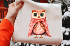 Pink Christmas Owl Watercolor Clipart Product Image 2