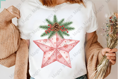 Pink Christmas Star Png Product Image 3