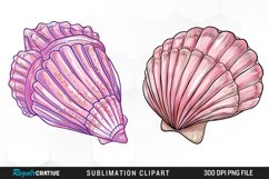 Watercolor Pink Color Seashell Clipart Product Image 1