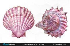 Watercolor Pink Color Seashell Clipart Product Image 1