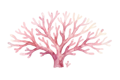 Pink Coral Branch | Cute Mermaid Png Product Image 1