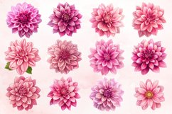 Watercolor Pink Dahlia Clipart Bundle Product Image 2