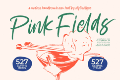 Pink Fields - Modern Handbrush Font Product Image 1