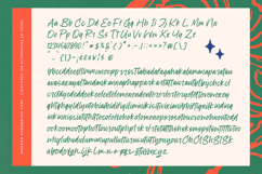 Pink Fields - Modern Handbrush Font Product Image 19