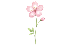 Pink Flower Png| Fairy Garden Png Product Image 1