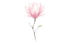 Pink Flower Png| Fairy Garden Png Product Image 1
