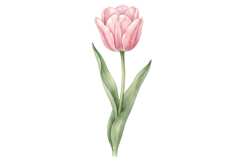 Pink Flower Png| Fairy Garden Png Product Image 1