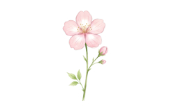Pink Flower Png| Fairy Garden Png Product Image 1