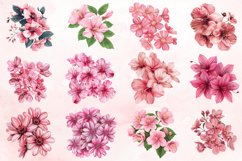 Watercolor Pink Flowers Clipart Bundle Product Image 2
